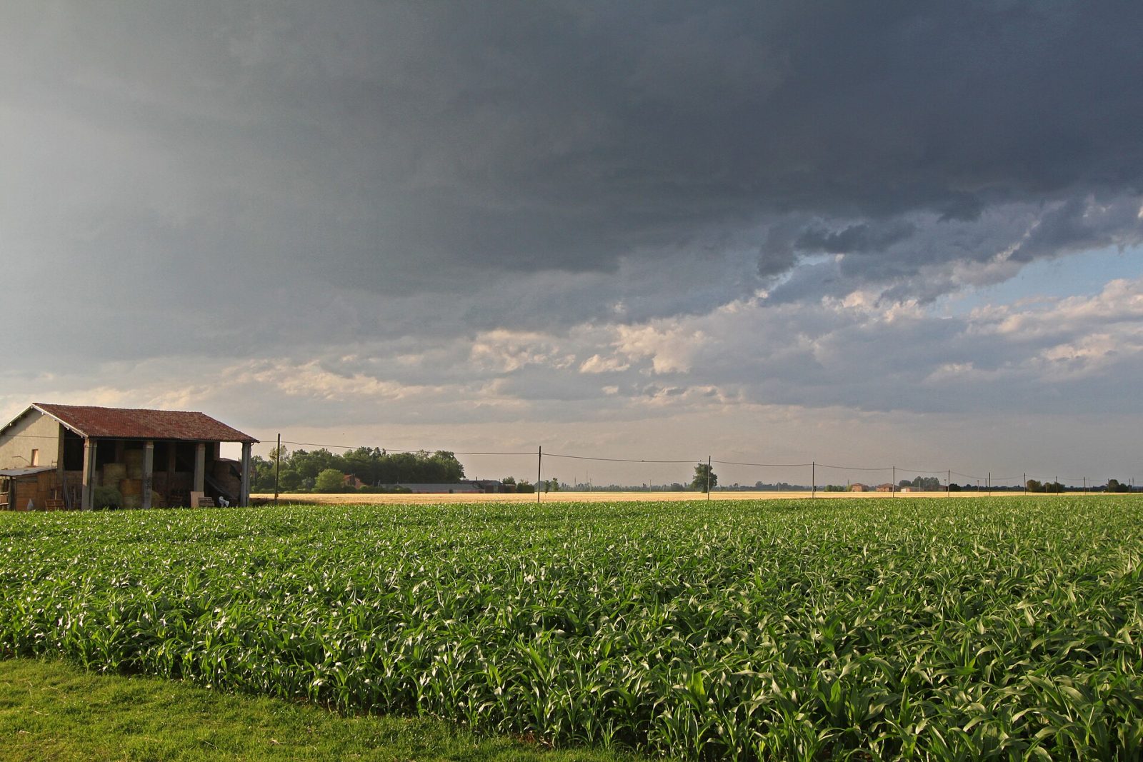 Ozzano dell'Emilia, Emilia-Romagna — countryside