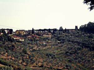 Carmignano in Toscana Italia