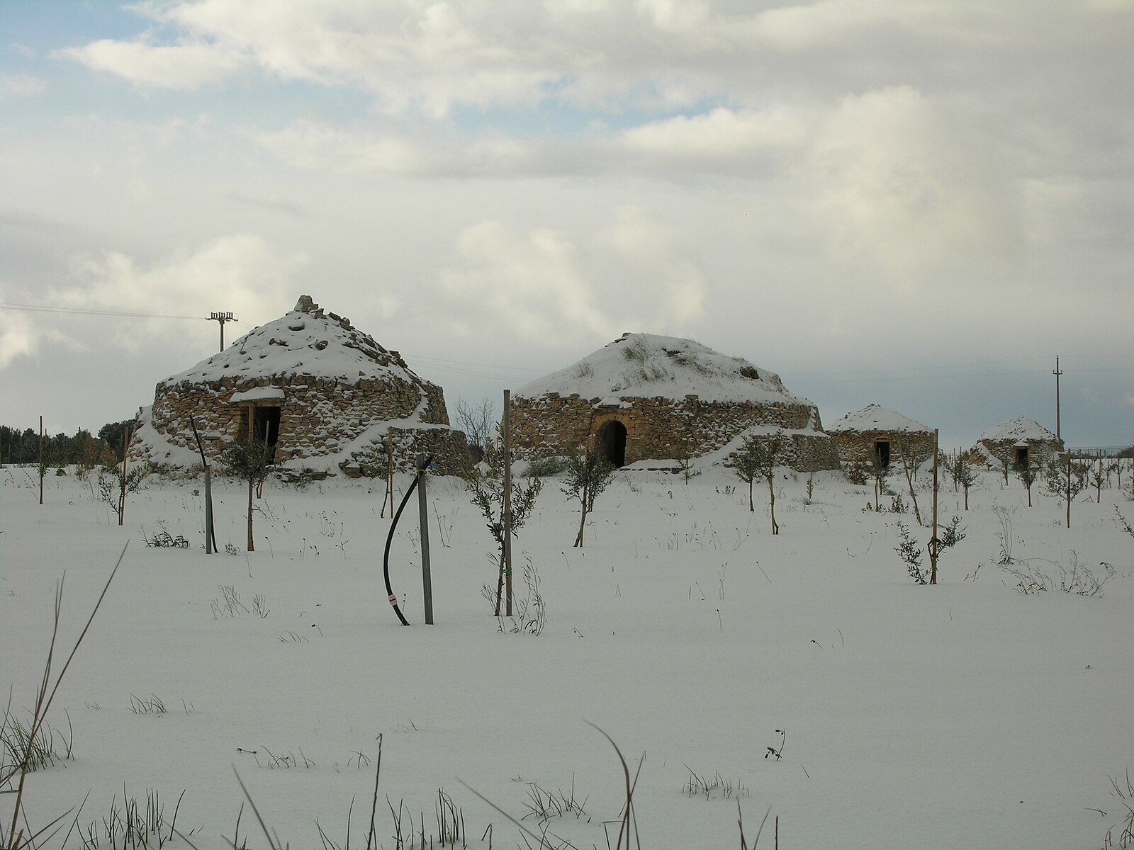 Corato in Puglia Italia