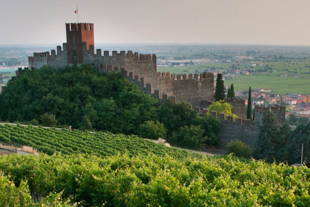 Wine lovers