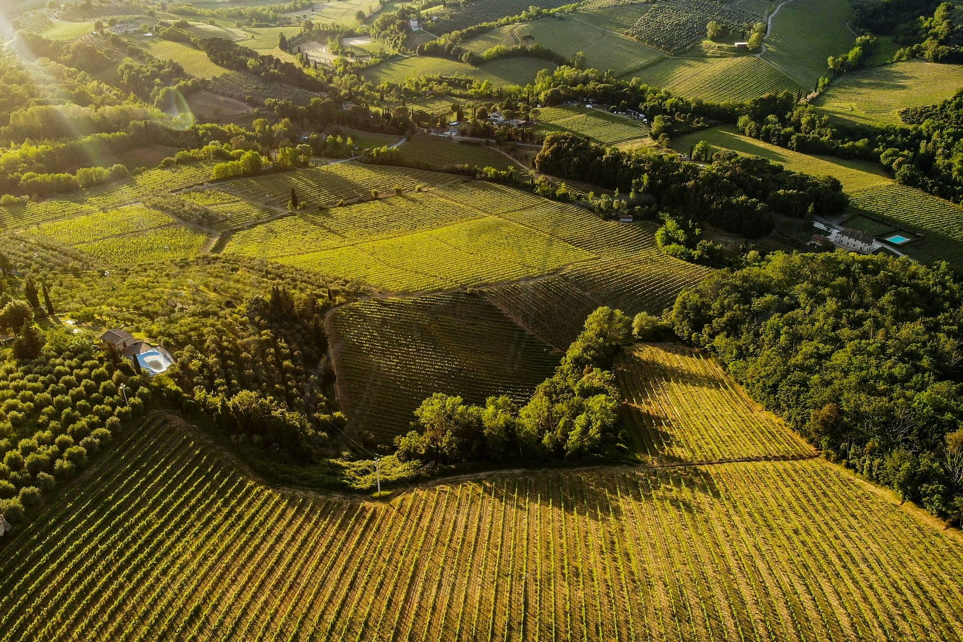Agricoltura in Italia