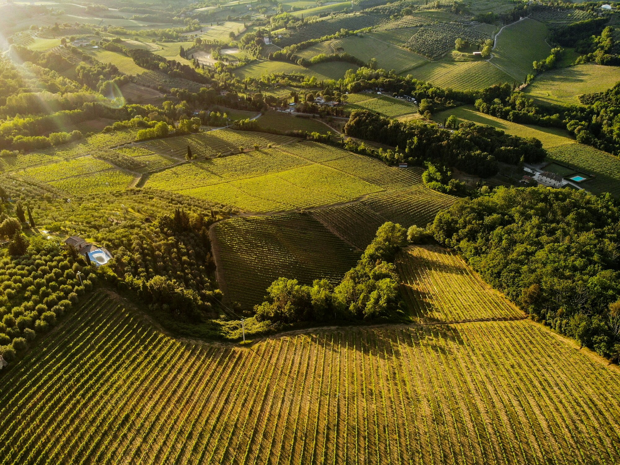 guida all'agricoltura in Italia - prodotti esportati