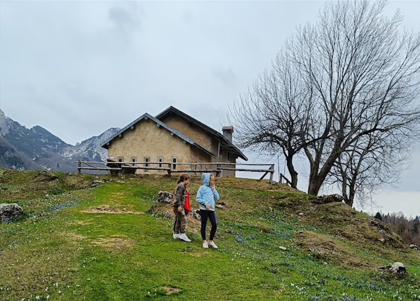 Agricoltura in Italia