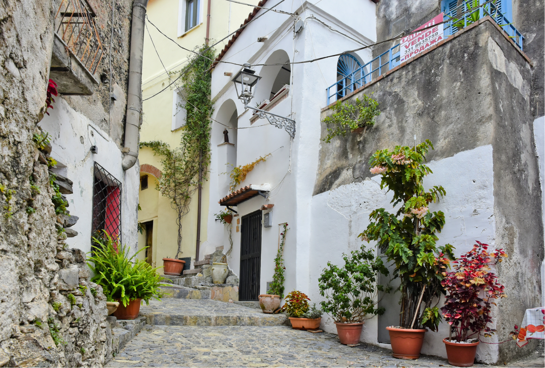 Living in scalea
