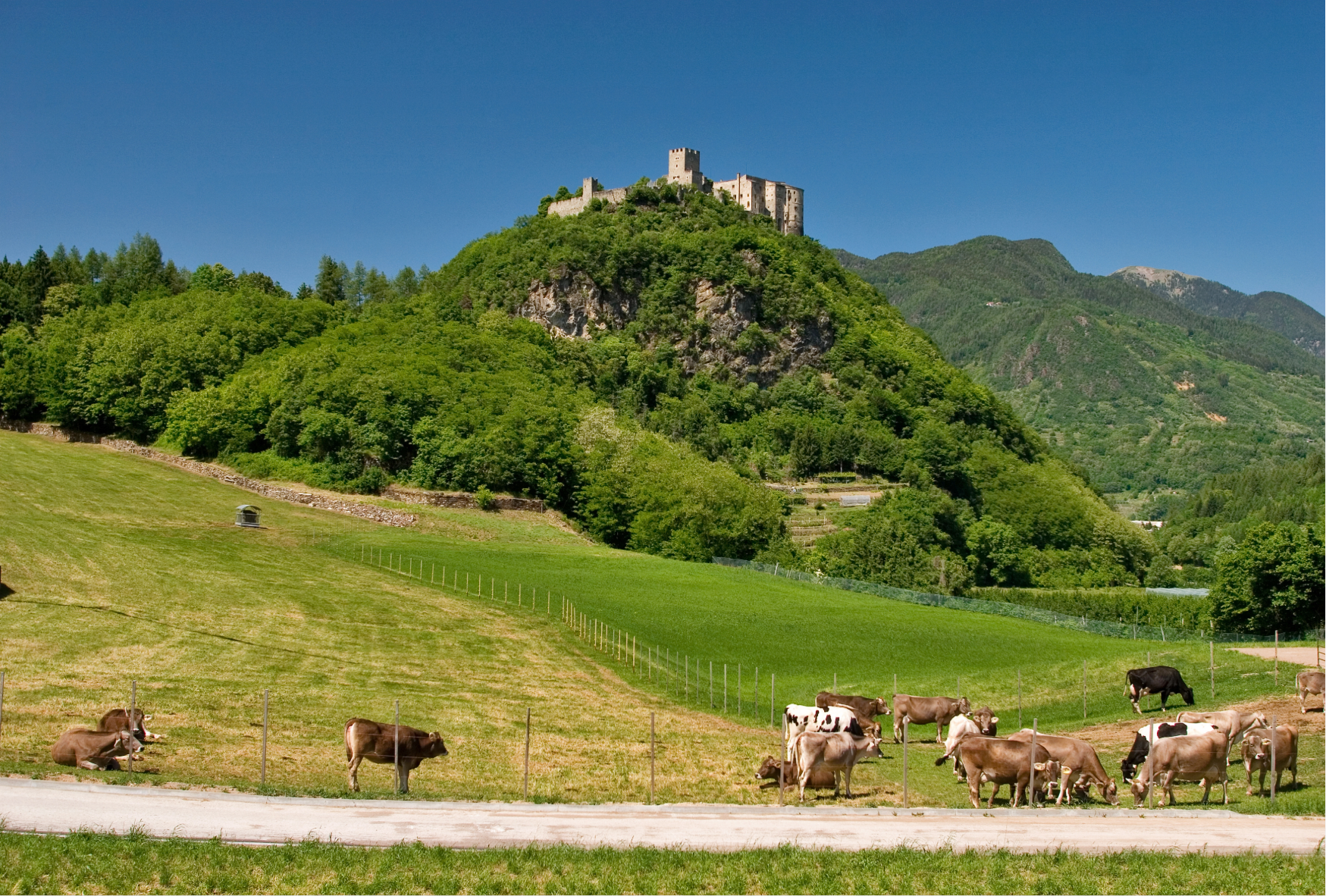 Italienische Alpen