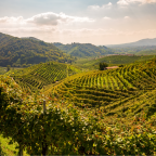 Hjem i Norditalien, hjem i Italien