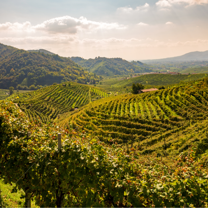 Hjem i Norditalien, hjem i Italien